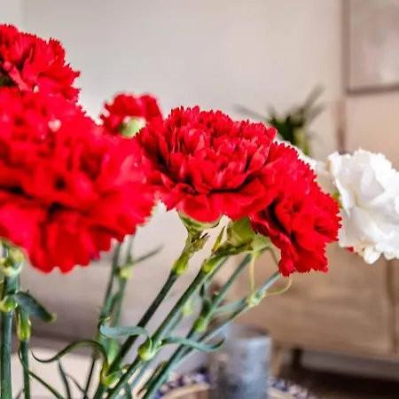 La Bastide L Authentic & Pool L Shellter * Saint-Tropez