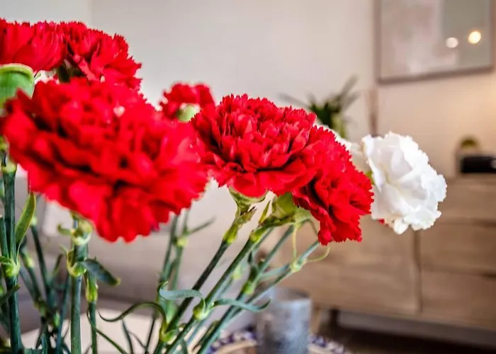 La Bastide L Authentic & Pool L Shellter * Saint-Tropez